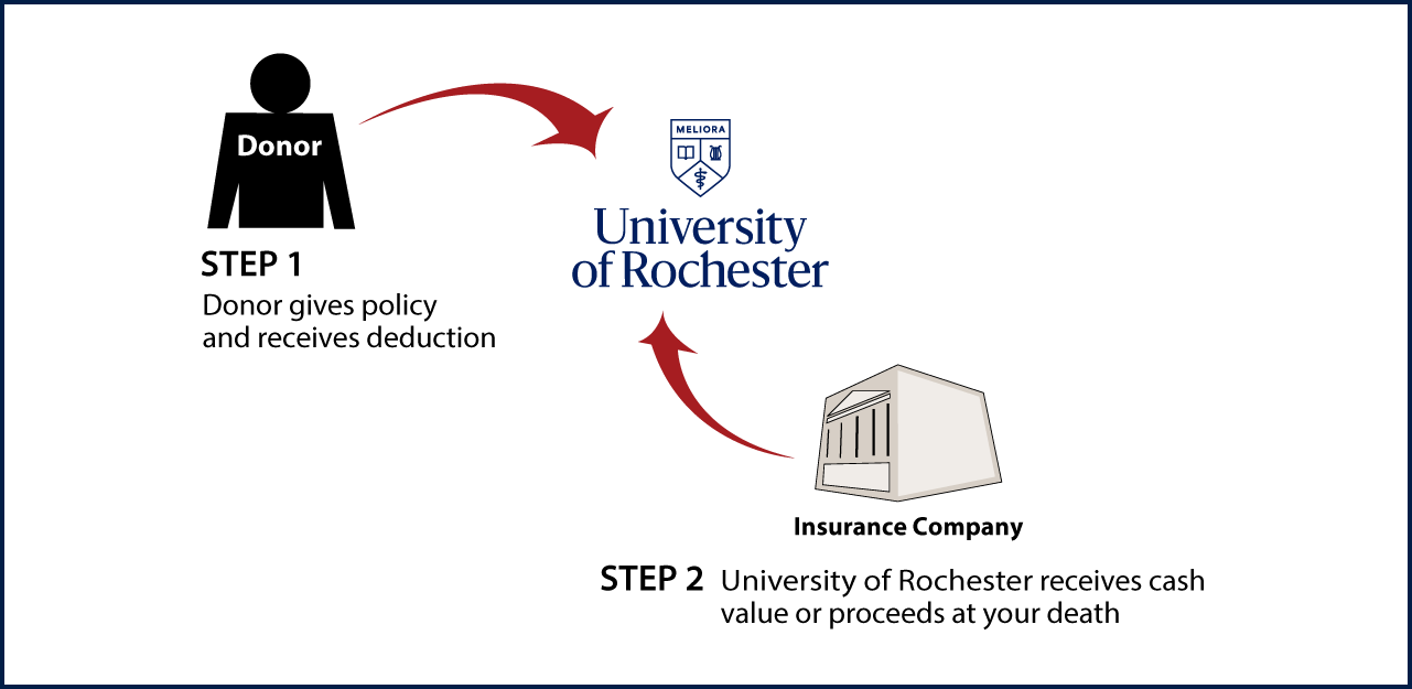 Life Insurance Policy Thumbnail